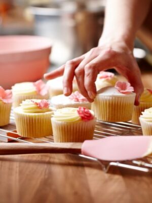 The Cupcake DIY Kit